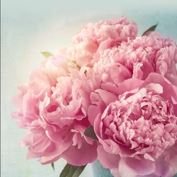 Meet your Posher, Grace - Picture 1 of 1